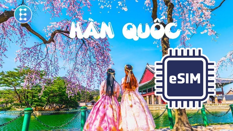 sim du lịch hàn quốc